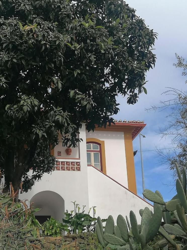 Quinta Do Americano Sardoal Zewnętrze zdjęcie